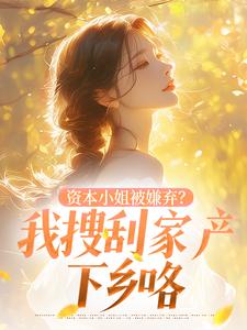 资本小姐被嫌弃?我搜刮家产下乡咯沈明珠厉远舟大结局在线阅读-暗夜阅读网