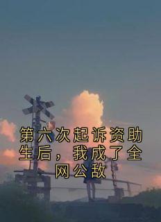 爆款小说第六次起诉资助生后,我成了全网公敌-主角岑鸢林姐在线阅读