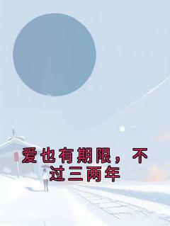 爱也有期限,不过三两年小说最新章节-主角沈念秦墨全文免费阅读