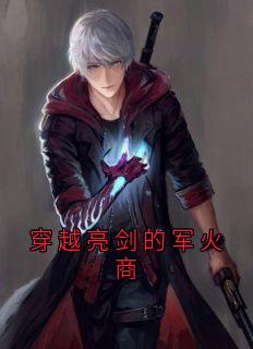 穿越亮剑的军火商(全章节)-王羽李云龙在线阅读