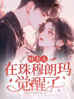 百度贴吧小说叶夫人,在珠穆朗玛觉醒了,主角林雾叶煋全文免费