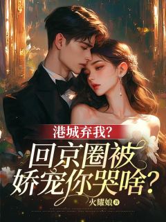 港城弃我?回京圈被娇宠你哭啥?免费阅读全文,主角时栎靳西爵小说完整版