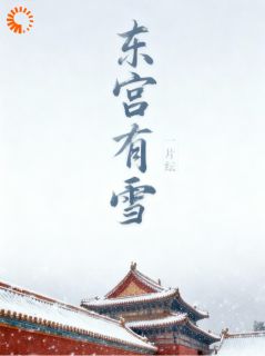 (精品)东宫有雪小说
