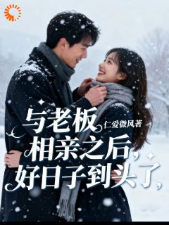 主角苏落严易小说，与老板相亲之后，好日子到头了免费阅读全文