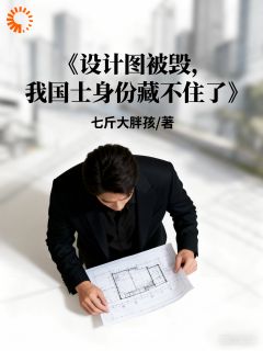 高质量小说设计图被毁，我国士身份藏不住了在线试读