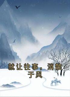 [抖音]小说齐婉言陆远舟就让往事，消散于风