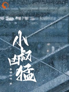 【新书】小叔凶猛主角徐栀司清宴全文全章节小说阅读