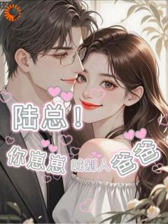 陆总!你崽崽喊别人爸爸小说好看吗 纪云舒陆聿安最后结局如何-暗夜阅读网