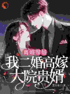 离婚带娃,我二婚高嫁大院贵婿(乔宁苏宴礼)精彩小说目录阅读-暗夜阅读网