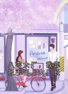 八零大厂,我靠扳手当上女厂长小说免费阅读 林晚秋刘翠芬大结局完整版-暗夜阅读网