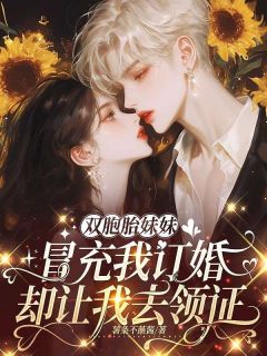 双胞胎妹妹冒充我订婚,却让我去领证小说最新章节 王深陈佳江楠结局是什么