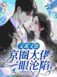 免费完结小说又乖又欲，京圈大佬一眼沦陷温书意徐鹤年无弹窗免费阅读-暗夜阅读网