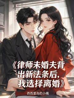 快手律师未婚夫背出新法条后,我选择离婚小说全本章节大结局