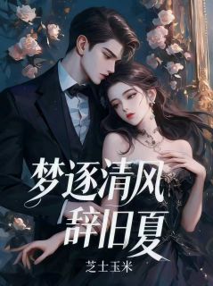 抖音梦逐清风辞旧夏by玖日故事在线阅读