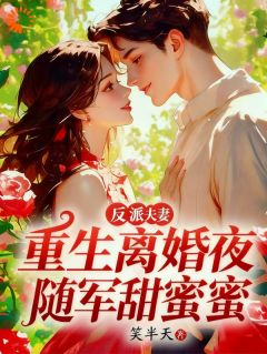 反派夫妻重生离婚夜，随军甜蜜蜜在哪免费看，柳依陆维小说章节目录阅读