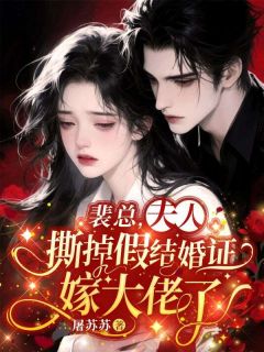 裴总，夫人撕掉假结婚证嫁大佬了(沈云初裴淮言)全文章节在线阅读