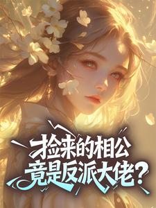 全网首发完整小说捡来的相公竟是反派大佬?主角林菀赵清远在线阅读