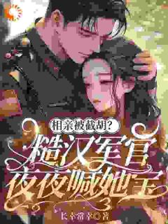 快手苏阮顾振国主角的小说全本章节大结局