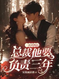 抖音小说一夜错吻后，霸总他要负责三年，主角傅小泗江寰最后结局小说全文免费