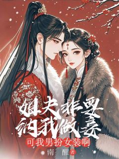 (精品)姐夫非要纳我做妾，可我男扮女装啊小说