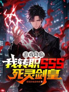 游戏降临:我转职SSS死灵剑皇完整版免费阅读,王晨王小龙小说大结局在哪看