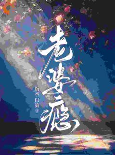 老婆瘾(新书)小说_许京乔谢隋东阅读