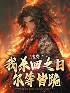 快手热推废柴？我杀回之日尔等皆跪小说主角叶天周知诺在线阅读