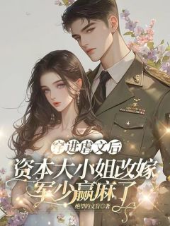 (抖音小说)沈清栀秦司砚小说全文阅读免费