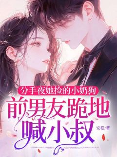 安稳写的小说分手夜她捡的小奶狗，前男友跪地喊小叔在线阅读