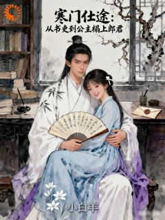 书荒推荐寒门仕途：从书吏到公主榻上郎君(陈立秋崔莺)在线试读