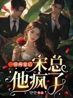 热门小说一别两宽后，宋总他疯了完整版全文阅读