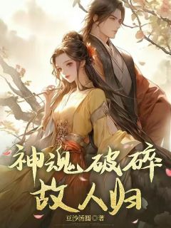 神魂破碎故人归夕月菲菲小说全文章节阅读