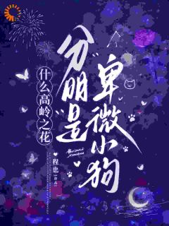 宋霁段栖鹤全章节阅读-什么高岭之花,分明是卑微小狗全文分享阅读