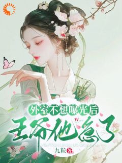 外室不想曝光后,王爷他又急了(九粒小说)小说最新章节