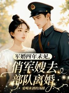 [抖音]小说苏夏陆铮军婚四年未见，俏军嫂去部队离婚