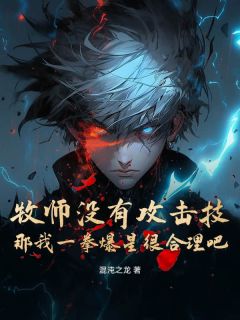 汪海苏沐沐全章节阅读-牧师没有攻击技,那我一拳爆星很合理吧全文分享阅读