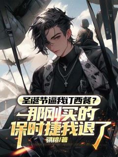 奚梦陈浩全集小说_圣诞节逼我订西餐？那刚买的保时捷我退了完结版阅读