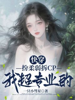快穿:扮柔弱拆CP我超专业的(新书)大结局在线阅读