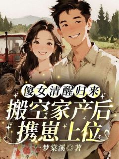 傻女清醒归来，搬空家产后携崽上位在哪免费看，沈云栀顾承砚小说章节目录阅读