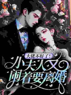 大佬不好了!小夫人又闹着要离婚小说(完结版)-林媛周骏在线阅读