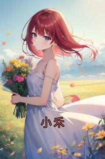 (抖音)小禾林嘉禾沈执小说免费全文阅读