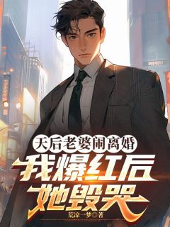 完整版天后老婆闹离婚，我爆红后她毁哭叶铭姜雅小说免费在线阅读