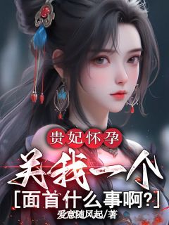 贵妃怀孕,关我一个面首什么事啊?小说免费版阅读抖音热文