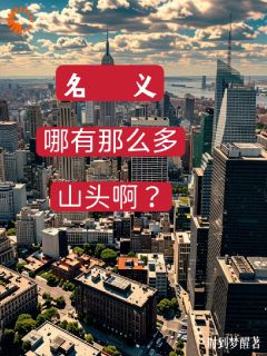 李光辉高育良小说章节目录阅读-名义:哪有什么山头啊?在哪免费看