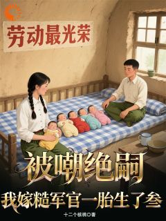 被嘲绝嗣?我嫁糙军官一胎生了叁无弹窗在线阅读