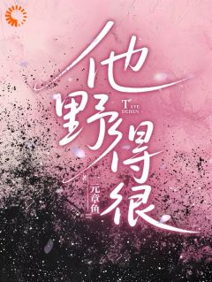 良心推荐他野得很小说试读