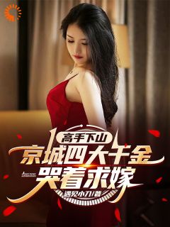 高手下山，京城四大千金哭着求嫁陈凡王钦颐全章节完结版在线阅读