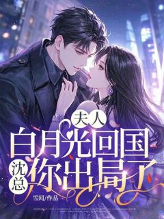 精选好书夫人白月光回国,沈总你出局了无删减版全文在线