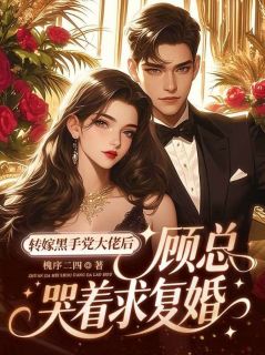 书荒推荐转嫁黑手党大佬后,顾总哭着求复婚(盛宁顾千帆)在线试读