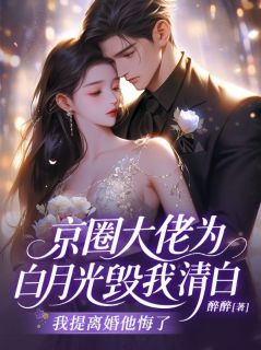 爆款小说京圈大佬为白月光毁我清白,我提离婚他悔了在线阅读-林晚周时衍免费阅读